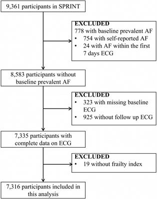 Association Between the Frailty and New-Onset Atrial Fibrillation/Flutter Among Elderly Hypertensive Patients